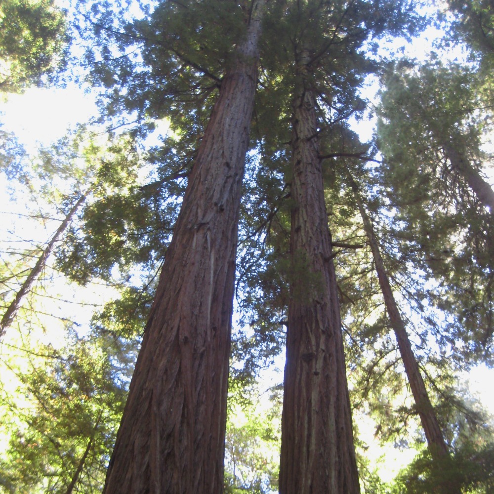 Meet your Posher, Jari